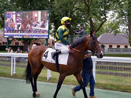 Les pronostics hippiques pour ce samedi 3 février